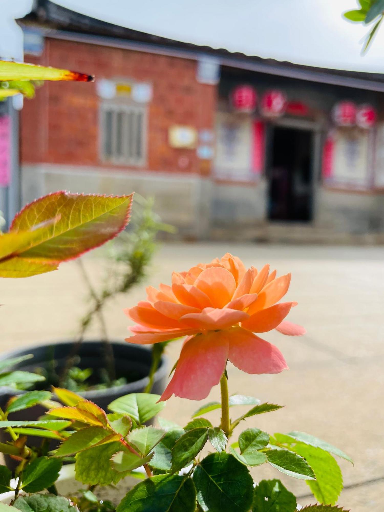 Grace Homestay Jincheng Εξωτερικό φωτογραφία