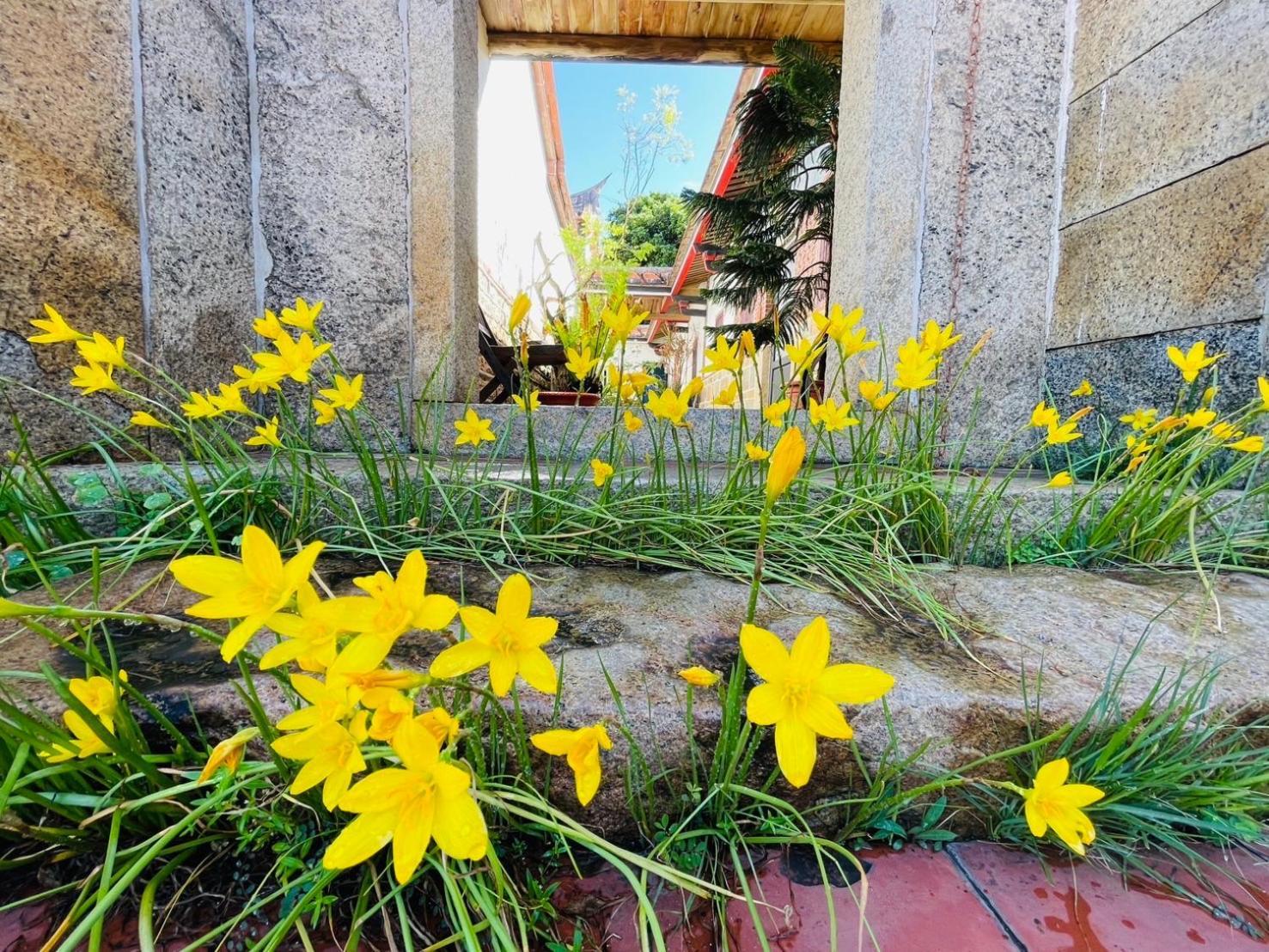 Grace Homestay Jincheng Εξωτερικό φωτογραφία