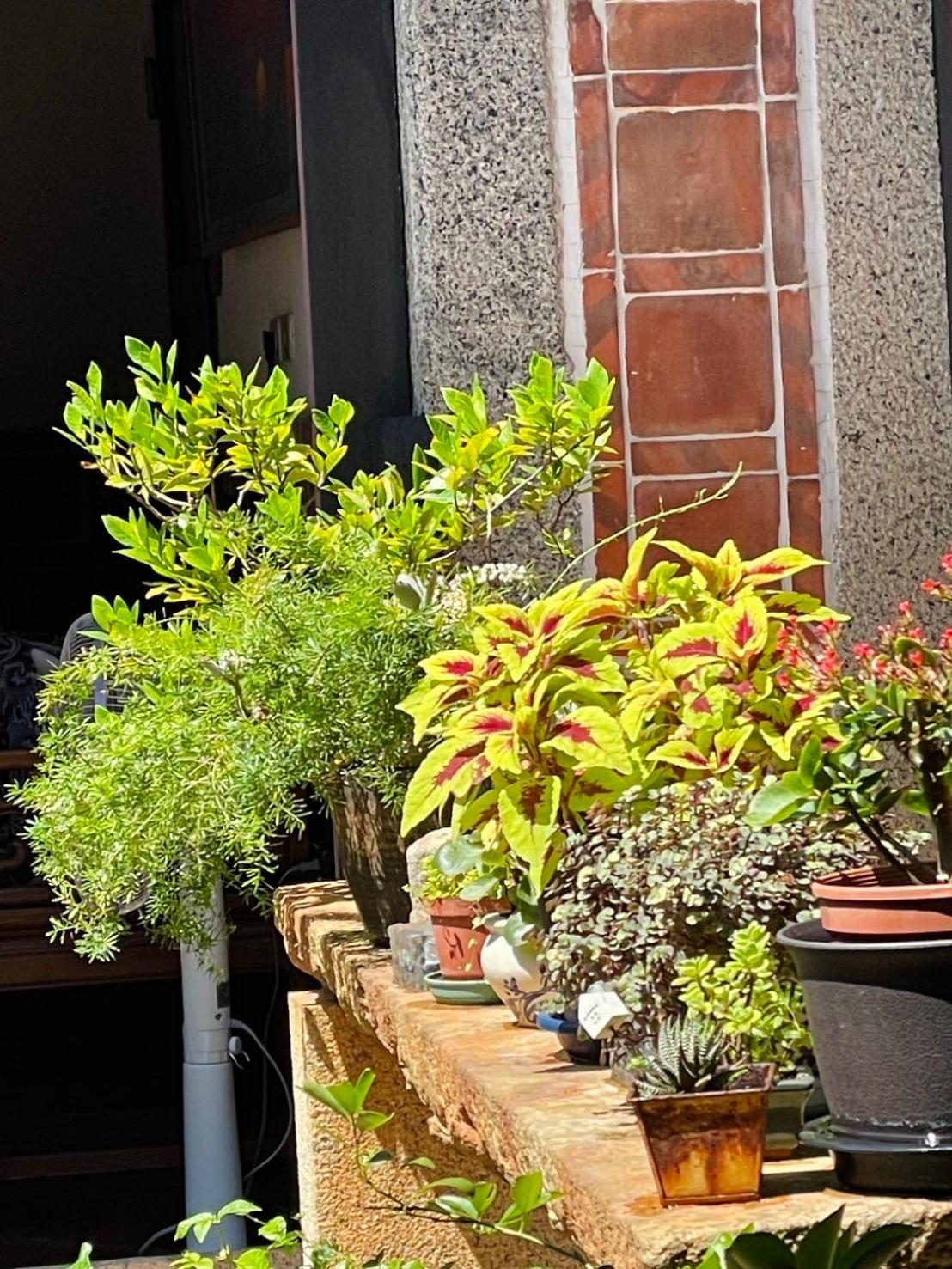 Grace Homestay Jincheng Εξωτερικό φωτογραφία